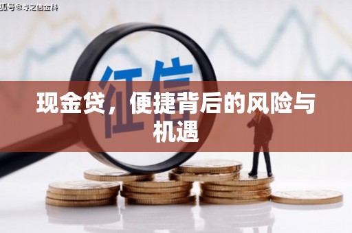 琼海现金贷，便捷背后的风险与机遇