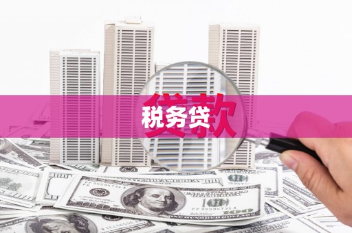 琼海税务贷