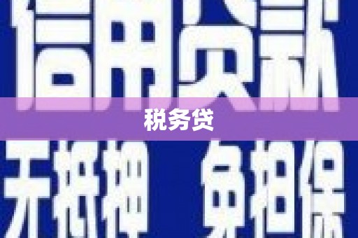 琼海税务贷