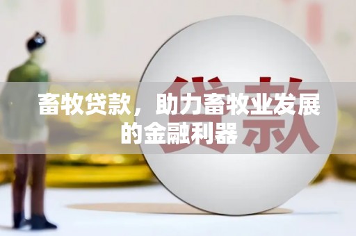 琼海畜牧贷款，助力畜牧业发展的金融利器