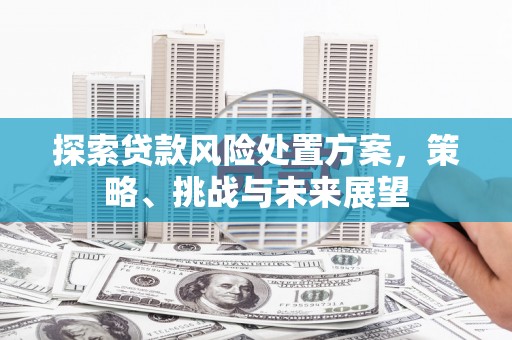 琼海探索贷款风险处置方案，策略、挑战与未来展望