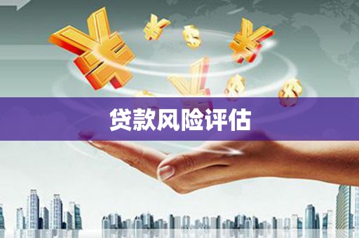琼海贷款风险评估