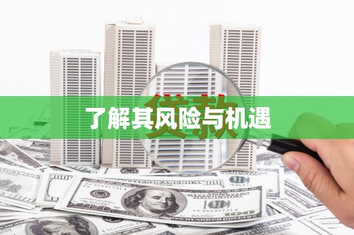 琼海了解其风险与机遇