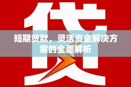 琼海短期贷款，灵活资金解决方案的全面解析
