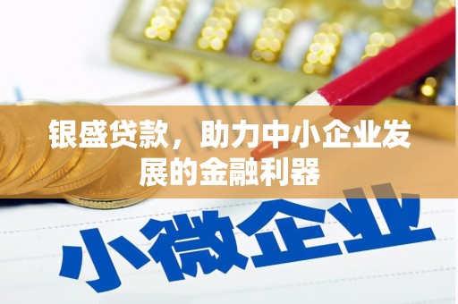 琼海银盛贷款，助力中小企业发展的金融利器
