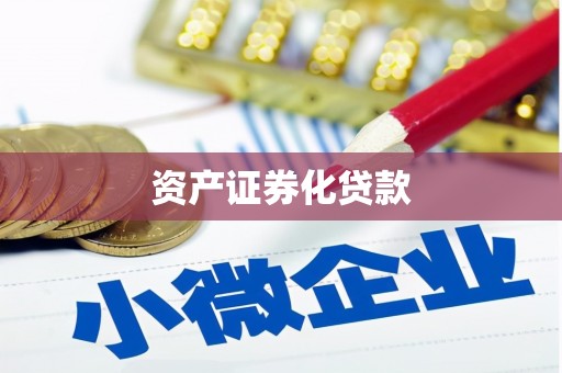 琼海资产证券化贷款