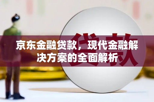 琼海京东金融贷款，现代金融解决方案的全面解析