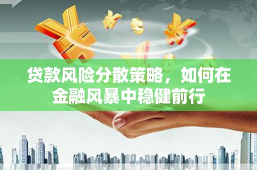琼海贷款风险分散策略，如何在金融风暴中稳健前行