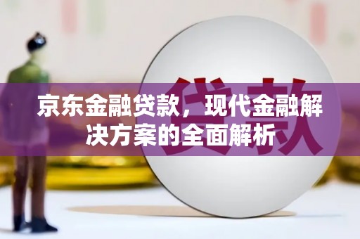 琼海京东金融贷款，现代金融解决方案的全面解析