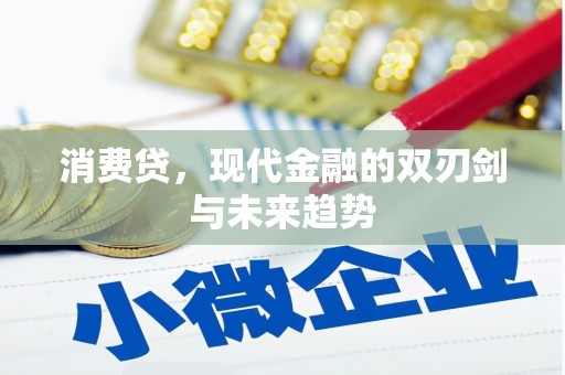 琼海消费贷，现代金融的双刃剑与未来趋势