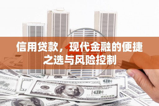 琼海信用贷款，现代金融的便捷之选与风险控制