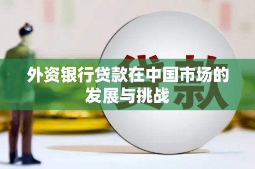 琼海外资银行贷款在中国市场的发展与挑战