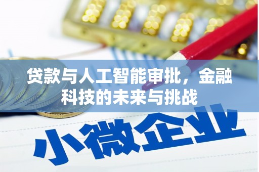 琼海贷款与人工智能审批，金融科技的未来与挑战