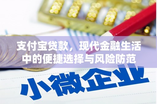 琼海支付宝贷款，现代金融生活中的便捷选择与风险防范