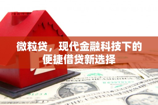 琼海微粒贷，现代金融科技下的便捷借贷新选择