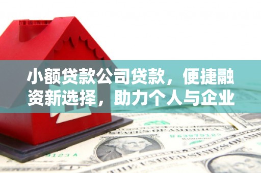 琼海小额贷款公司贷款，便捷融资新选择，助力个人与企业成长