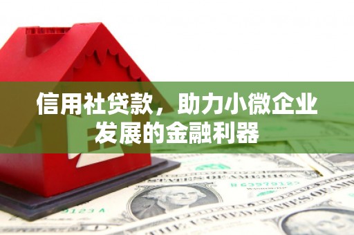 琼海信用社贷款，助力小微企业发展的金融利器