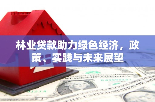 琼海林业贷款助力绿色经济，政策、实践与未来展望