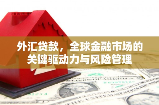 琼海外汇贷款，全球金融市场的关键驱动力与风险管理