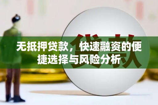 琼海无抵押贷款，快速融资的便捷选择与风险分析