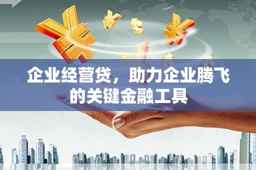 琼海企业经营贷，助力企业腾飞的关键金融工具