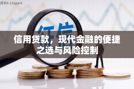琼海信用贷款，现代金融的便捷之选与风险控制