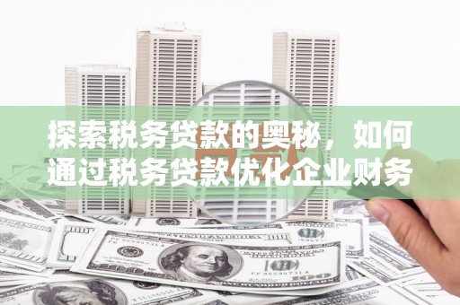 琼海探索税务贷款的奥秘，如何通过税务贷款优化企业财务