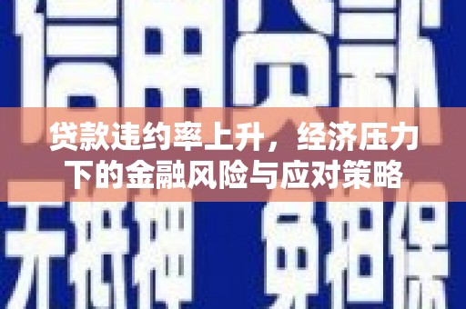 琼海贷款违约率上升，经济压力下的金融风险与应对策略