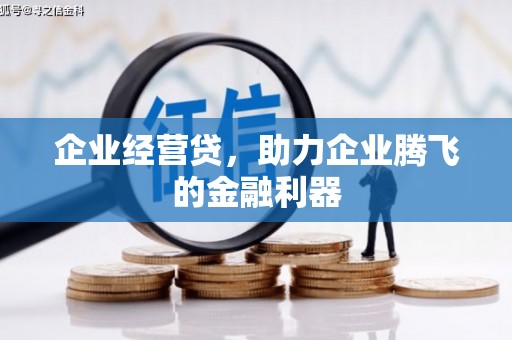琼海企业经营贷，助力企业腾飞的金融利器