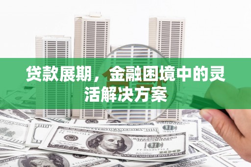 琼海贷款展期，金融困境中的灵活解决方案