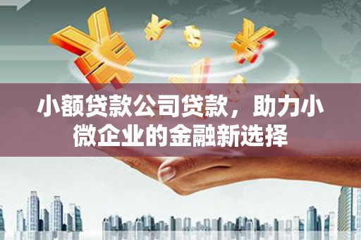 琼海小额贷款公司贷款，助力小微企业的金融新选择