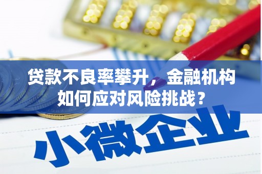 琼海贷款不良率攀升，金融机构如何应对风险挑战？