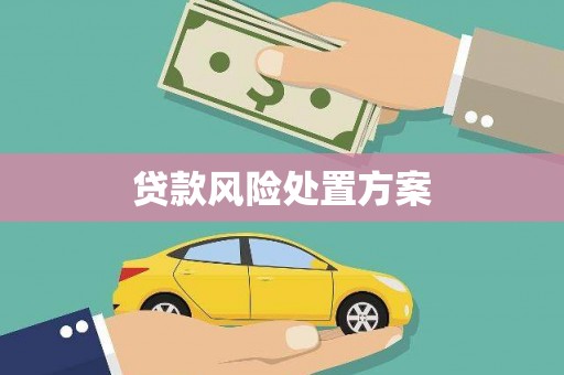 琼海贷款风险处置方案