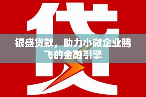 琼海银盛贷款，助力小微企业腾飞的金融引擎