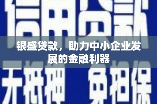 琼海银盛贷款，助力中小企业发展的金融利器