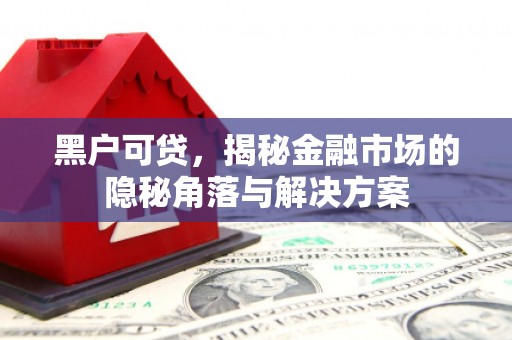 琼海黑户可贷，揭秘金融市场的隐秘角落与解决方案