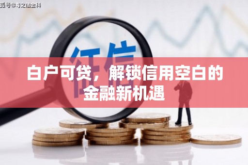 琼海白户可贷，解锁信用空白的金融新机遇