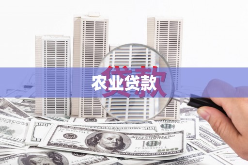 琼海农业贷款