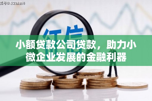 琼海小额贷款公司贷款，助力小微企业发展的金融利器