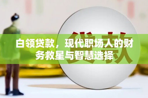 琼海白领贷款，现代职场人的财务救星与智慧选择