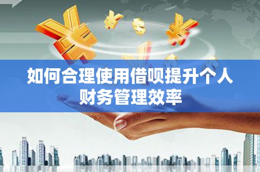 琼海如何合理使用借呗提升个人财务管理效率