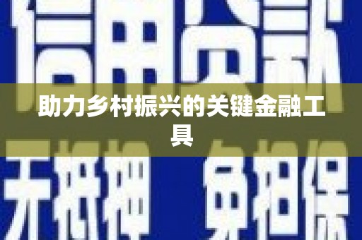 琼海助力乡村振兴的关键金融工具