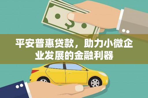 琼海平安普惠贷款，助力小微企业发展的金融利器