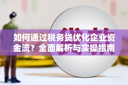 琼海如何通过税务贷优化企业资金流？全面解析与实操指南