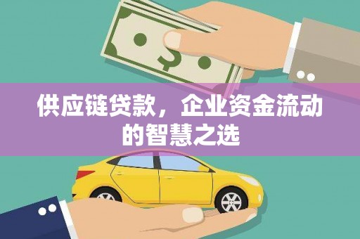 琼海供应链贷款，企业资金流动的智慧之选