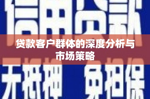 琼海贷款客户群体的深度分析与市场策略