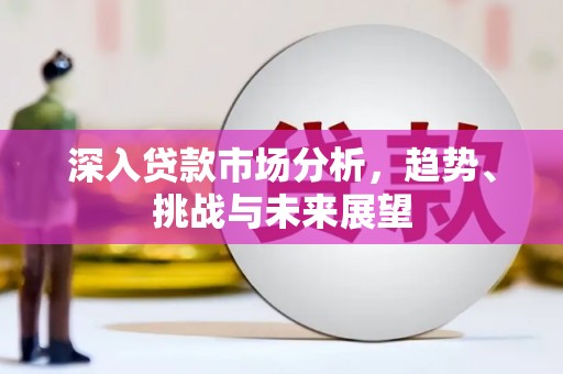 琼海深入贷款市场分析，趋势、挑战与未来展望
