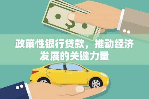 琼海政策性银行贷款，推动经济发展的关键力量