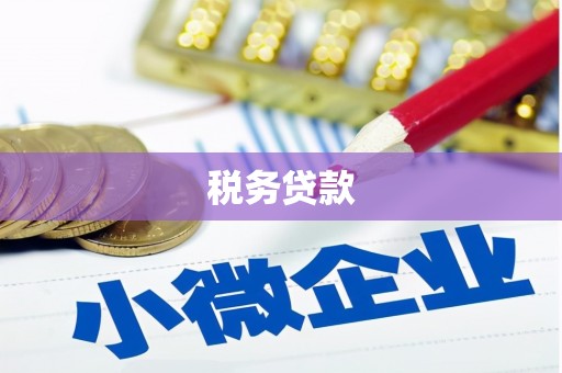 琼海税务贷款