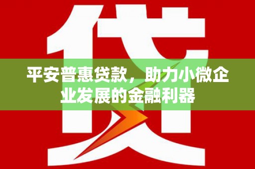 琼海平安普惠贷款，助力小微企业发展的金融利器